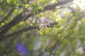 果然视频|枣庄这所高校的“宿管姐姐”好暖心图片