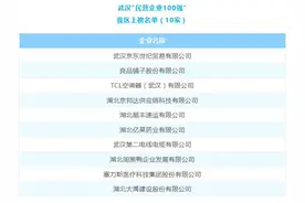 2023年武汉民营企业100强名单发布 东西湖区10家企业上榜图片