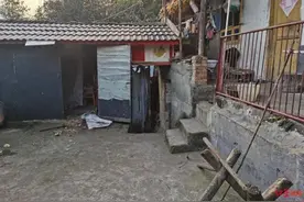 夫妻均无生命危险！58岁丈夫讲述杀熊救妻惊险过程……多地正开展防熊实验图片