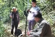 18层楼高!南山国家公园枫香树刷新纪录成为湖南最高树图片
