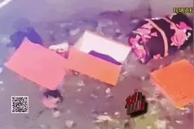 别墅绿化带惊现多只爱马仕，总价超百万！养护工捡走5个随手放宿舍图片