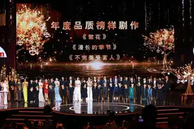 《2024电视剧品质盛典》今晚播出图片