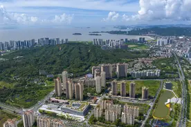 深珠“牵手”，珠海何以承接产业“超级流量”？ | 桥来风至，深珠同城⑤图片