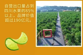 一张图带你了解安岳柠檬的“分量”图片