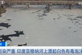 严重污染 印度首都新德里河面漂浮大量有毒泡沫图片
