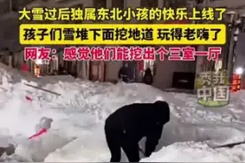 大雪后东北小孩挖出三室一厅：雪堆下面挖地道，玩得老嗨了！图片
