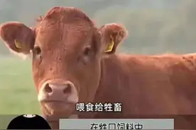 喝咖啡全是好处？Nature“颠覆性”研究：咖啡饮用量与肺癌风险之间存在显著正相关性，每天多喝1杯咖啡，罹患肺癌的风险增加6%！图片