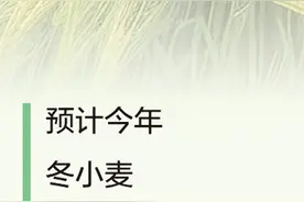 一季度农业农村经济开局稳健（权威发布）图片