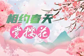 官宣！2025武汉“相约春天赏樱花”百余项精彩活动等你来图片