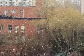 真·鹅毛大雪！北京城区也飘雪了，朋友圈根本来不及刷图片