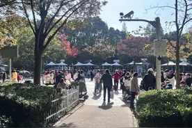 晴冷继续升级！预计明早最低仅1℃图片