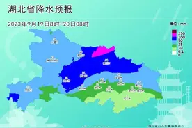 暴雨、大暴雨！应急响应启动！图片