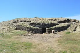 古代欧洲人吃什么？最新研究称海藻和水生植物或是重要食物来源图片