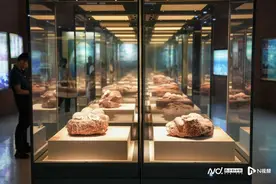 河源恐龙博物馆上新：罕见恐龙胚胎蛋化石首次亮相图片