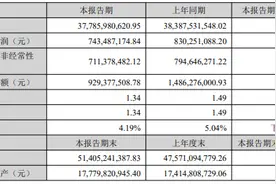 国药一致上半年零售板块国大药房陷入亏损，净增门店数量186家 | 解码中报图片