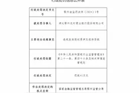 湖北鄂州农商银行被罚款45万：因违规发放股权质押反担保贷款图片
