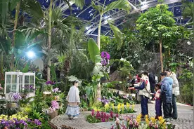 大年初二，北京12家市属公园接待游客近38万人次图片