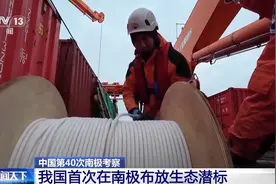 蛋白质含量远超牛肉，小小的南极磷虾潜力巨大？图片