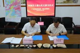 地质年代距今1.9亿年！广东省地调院向河源移交菊石10件图片