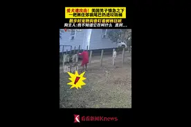 爱犬遭攻击 美国男子一把揪住郊狼尾巴扔进垃圾桶图片