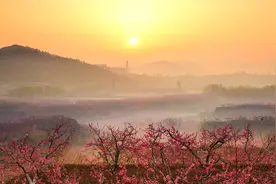 4条旅游线路、2条研学旅游线路，桃花盛开季肥城推出黄金旅游线路图片