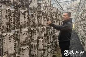 “山货”畅销行 陕西铁路铺就乡村振兴路图片
