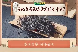 安化黑茶科普：安化黑茶的健康密码是什么?丨时小刻说黑茶图片