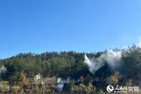2024年安徽省林业系统防灾减灾综合演练在潜山市举行图片
