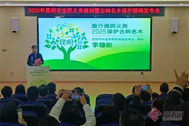 昆明计划实施义务植树1150万株图片