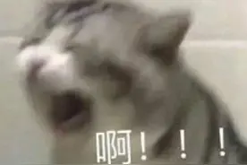 长期吃素为何会加重脂肪肝丨每日话题图片