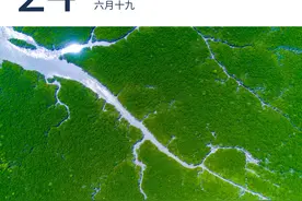 广东今年上半年GDP超6.5万亿元 | 早安广东图片