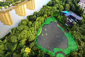 “荷”你共赴美好夏天~一起来了解“嘉”门口的美丽公园图片