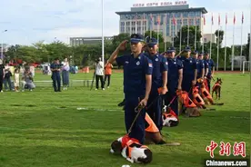 广西南宁消防举办搜救犬退役仪式图片