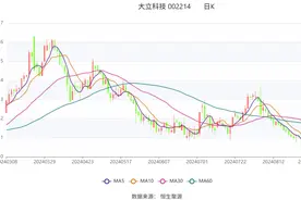 大立科技：2024年上半年亏损1.96亿元图片