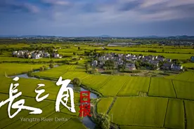 杭州市市长与12位科创企业负责人共进早餐图片
