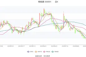 特锐德：2024年上半年净利润1.93亿元 同比增长105.26%图片