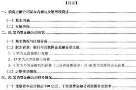全部31家消费金融公司手册（2024年版）图片