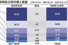 上半年“纳新”与“清虚”同步 但个险代理人的挑战远未结束图片