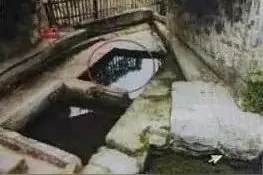 帮亲戚接小孩到家后，小孩自行离家意外溺亡，家长索赔54万？判了图片