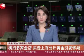 安徽“买金”洗钱团伙落网 横扫多家金店 买走上百公斤黄金引发怀疑图片
