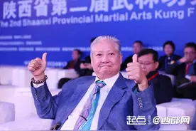 陕西省第二届武林功夫大会在渭南举行！洪金宝、唐季礼、赵长军等亮相图片