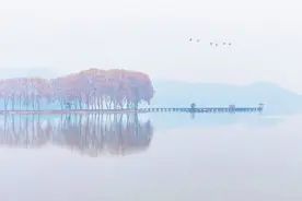 “一张大片，胜过千言万语”，这样的东湖你见过吗？图片