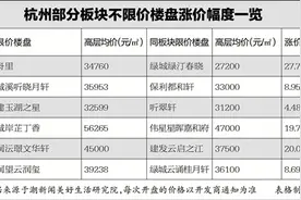 相比板块限价降了4300元/㎡！刚刚，杭州城东一不限价新盘领证图片