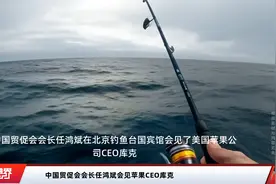 中国贸促会会长任鸿斌会见苹果CEO库克视频封面