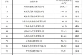 2024中国汽车供应链百强榜发布，山东11家企业上榜图片