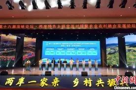 （聚焦海峡论坛）10个闽台农业农村融合发展合作项目签约图片