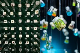 高质量发展调研行|打卡我国首座野生植物种子博物馆，与生物多样性“双向奔赴”图片