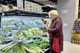 多地商超上架“板蓝根青菜”，抗炎营养好，是菜不是药图片