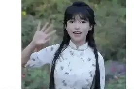 李子柒多枚同名商标注册成功图片