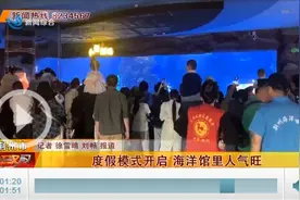 五一度假模式开启 荆州海洋馆里人气旺图片